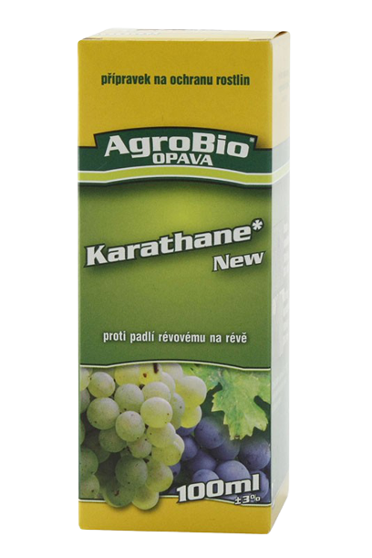 KARATHANE NEW 100 ml